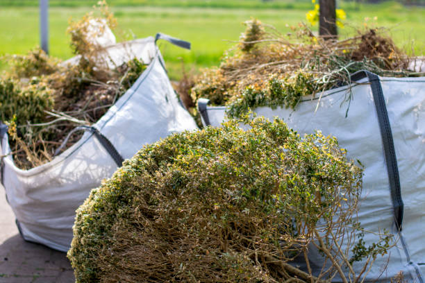 Best Junk Hauling Services  in Smoke Rise, AL